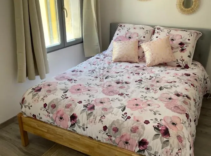 アパート : Centre Historique アジャクシオ